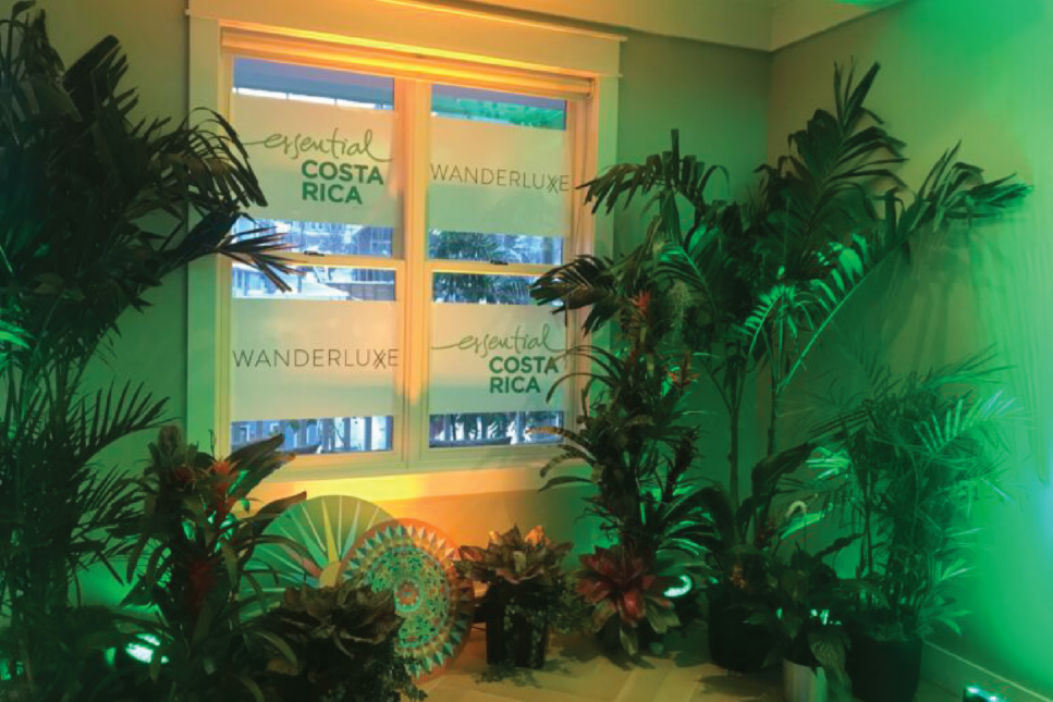 A lush green corner filled with vibrant tropical plants and flowers under soft green lighting, promoting the 'Essential Costa Rica' and 'Wanderluxe' brands, displayed on the windows, creating a warm and inviting atmosphere that embodies the essence of Costa Rica.